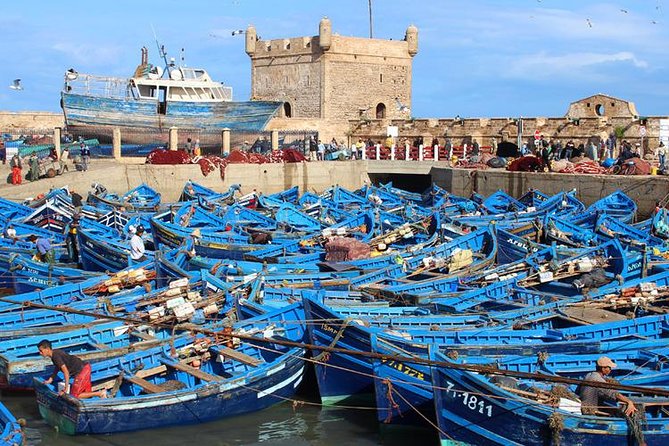 Essaouira day trip