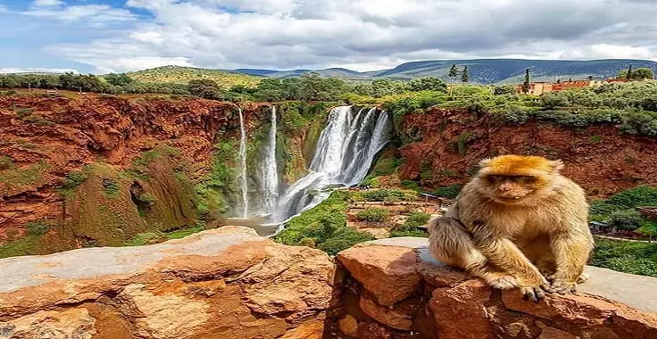 ouzoud-waterfalls-day-trip-from-marrakech